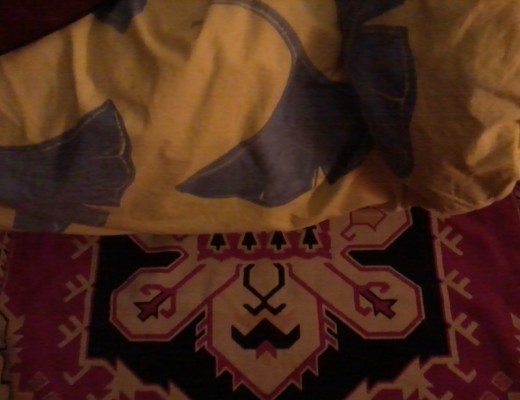 tapis velu