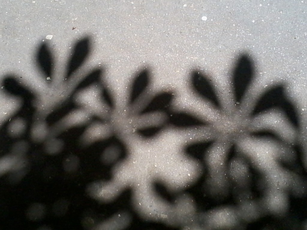 2016-05-17 13.33.41