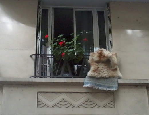 Un balcon voisin à Clichy