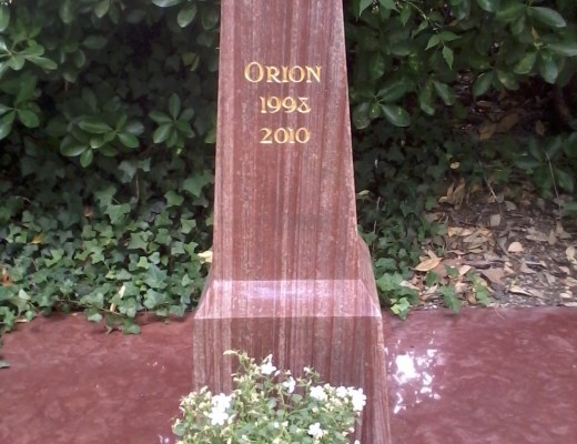 Le cimetière des chiens